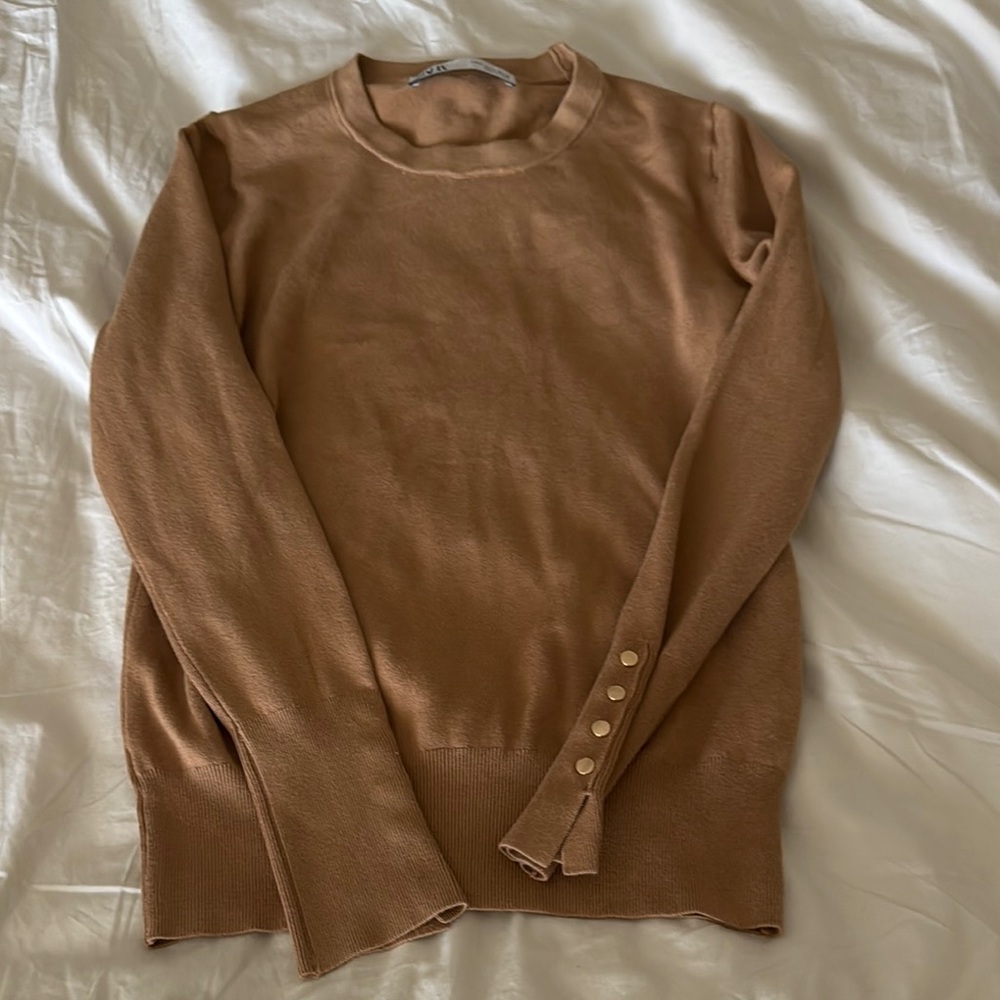 Zara Tan Sweater